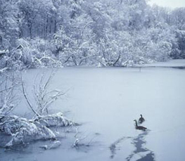 winter lake picture