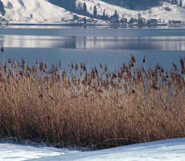 winter lake pictures